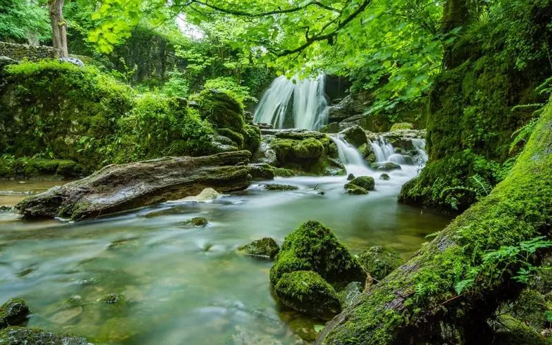 高性能精密
